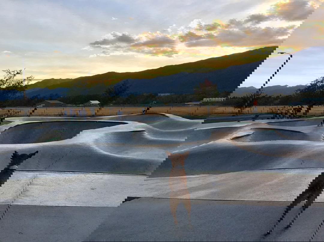 Stevensville skatepark